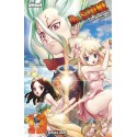 VOL. 13 DR STONE