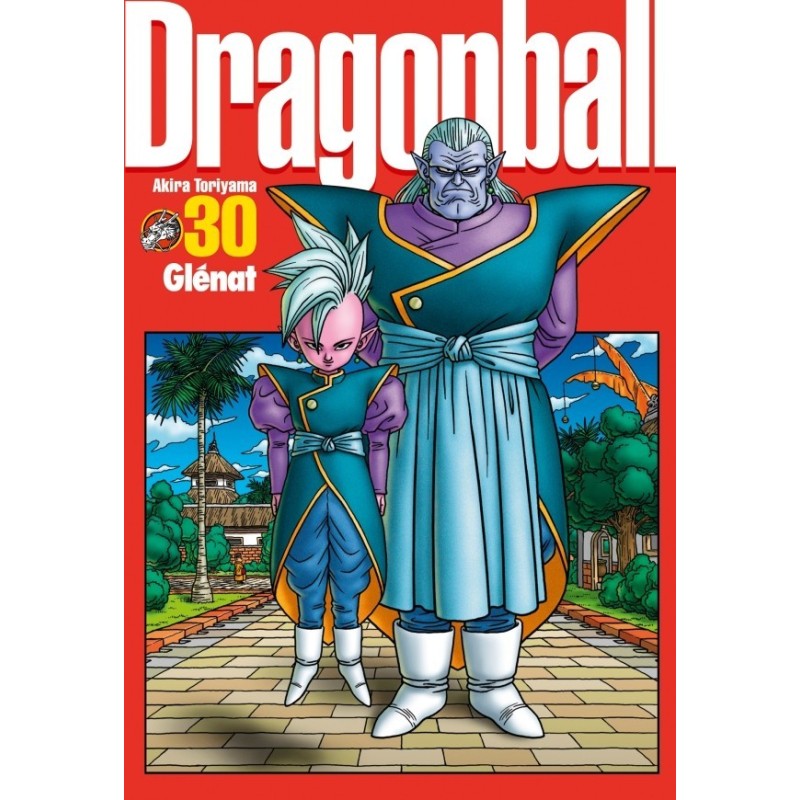 VOL. 30 DRAGON BALL PERFECT EDITION