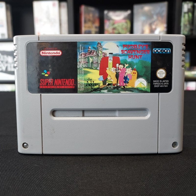 THE ADDAMS FAMILY PUGSLEY SCAVENGER HUNT LOOSE FAH SNES