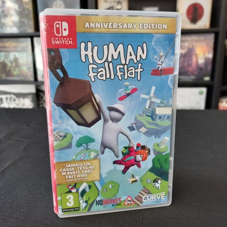 HUMAN FALL FLAT SWITCH