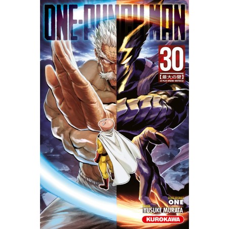 VOL. 30 ONE PUNCH MAN