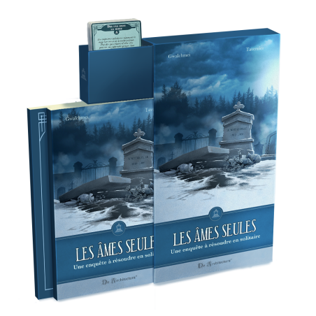 LES ÂMES SEULES - LIVRE JEU