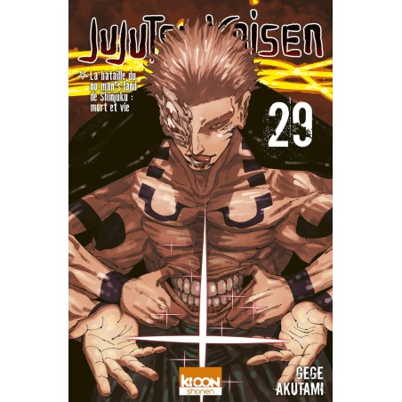 VOL. 29 JUJUTSU KAISEN