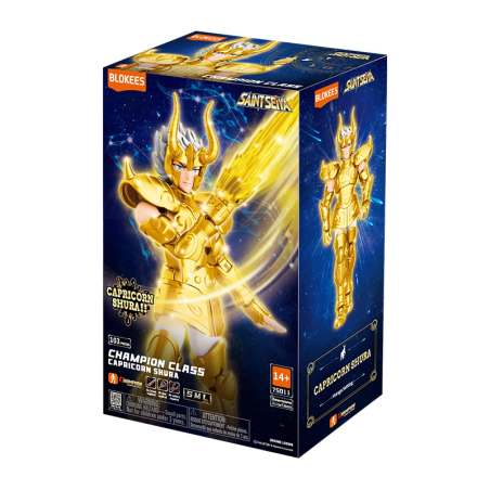 SAINT SEIYA BLOKEES...